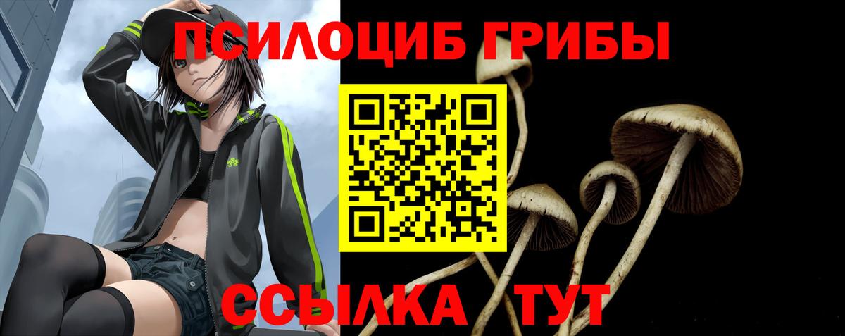 Аргун  Псилоцибиновые грибы мухоморы  Вход с VPN 
