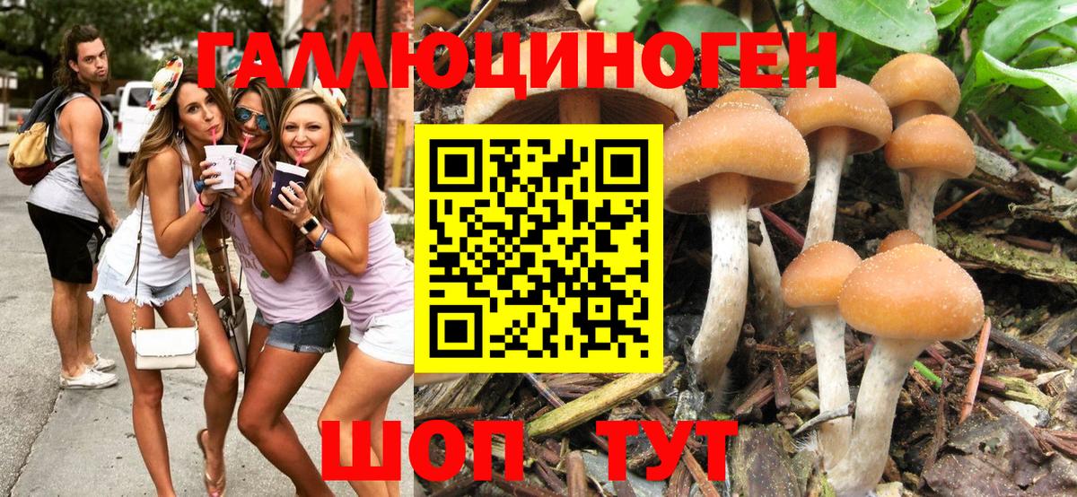 Галлюциногенные грибы мухоморы Аргун