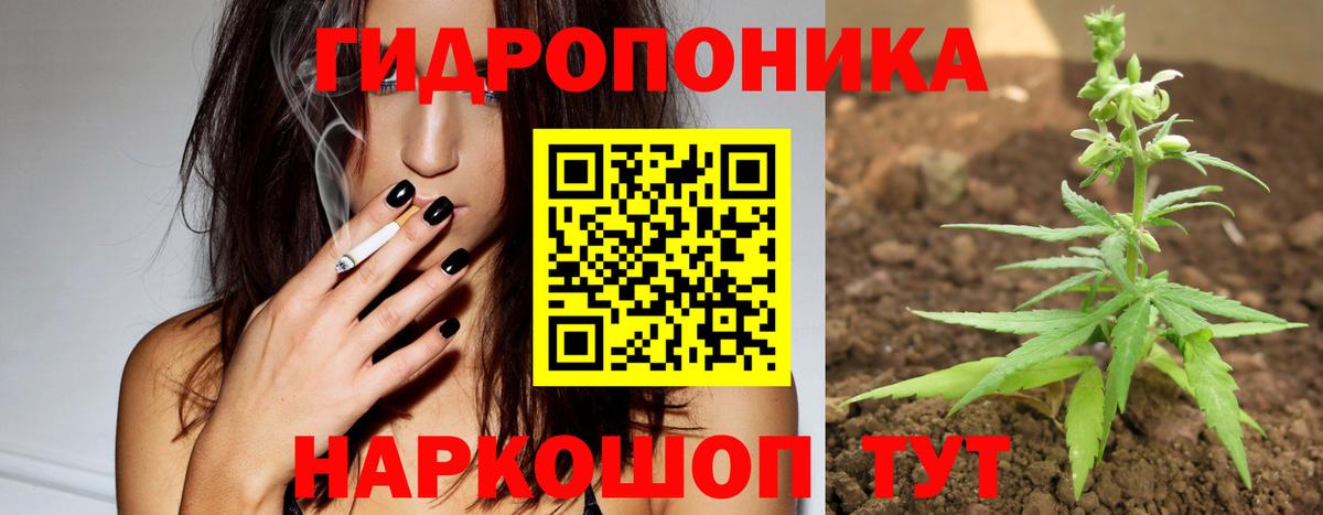 Шишки марихуана Bruce Banner  Шишки марихуана OG Kush  Бошки марихуана VHQ  Аргун  Вход с VPN 